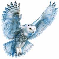 15 Snow Owl Clipart Bundle, Barn Owl, Winter Owl Illustrations, Printable Watercolor Clipart, High Q