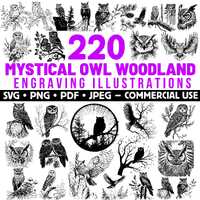 Owl Engraving Illustrations: Mystical Woodland Designs (SVG, PNG, PDF) Commercial Use