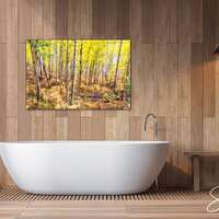 Autumn Aspen Trees Print, Owl Creek Colorado Landscape, Home Decor