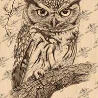 Owl Laser Engraving File: Rustic Wildlife Art (PNG & JPEG Digital Download