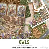Owls Junk Journal Kit large MINI, Owls Crafting Printables Owls Embellishments Owls Printable Owls P