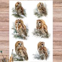 Watercolor Tawny Owl Rice Paper: Winter Woodland Decoupage, Junk Journaling