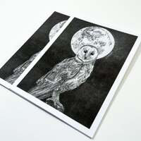 Night Owl [Graphite Print]