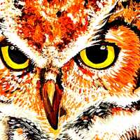 owl art for spooky season