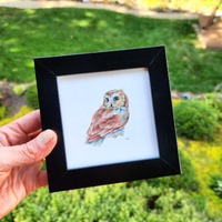 Framed Saw-whet Owl Watercolor Print: Nature-Inspired Wall Art