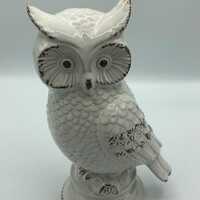 White Owl