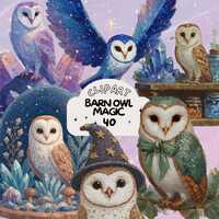 Fantasy Barn Owls Clipart bundle vintage sticker set goodnote sticker transparent png journaling sc