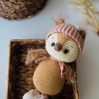Baby gift Crochet Owl , Soft baby Toy, Baby shower gift , Handmade Owl, present for pregnance sister