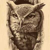 Owl in Tree Hollow PNG | Rustic Wildlife Engraving Clipart for Laser & CNC | Forest Totem Animal