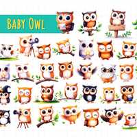 40 Baby Owl PNG Clipart | Cute Owl Digital Download | Woodland Animal Sublimation Bundle