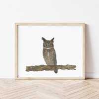 Owl Watercolor Wall Art