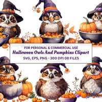 Halloween Owl Svg Bundle, Owl with Pumpkin PNG Clipart, Owl Fall Decor, Halloween Svg Files for Circ