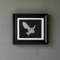 Barn owl drawing, White chalk on black paper, barn owl in moonlight, original monochrome artwork, no