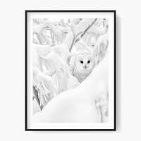 Barn Owl in Snowy Tree Photo Print: Minimalist Black and White Art (Digital Download)