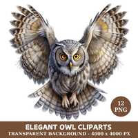 Elegant Owl Clipart Bundle, 12 Transparent PNGs, Wildlife Art, Digital Download