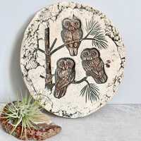 Mid Century Owl Wall Plaque: Mt St Helens Ash Decor, MCM Boho Style