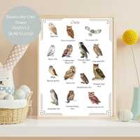 Owl wall art for homeschool decor printable owl poster for nursery nature print watercolor poster fo