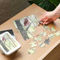 Owl and Butterfly Jigsaw Puzzle with Tin