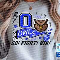 Owls Go Fight Win PNG, Owls Game Day Team Flag Blue png, Owls Pennant Flag Blue png, Owls  Doodle PN
