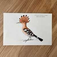 1938 Original Antique Lithograph with Barn owl and Eurasian hoopoe | Vertical Bird Print | Vintage F