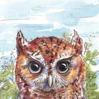 Hoot Owl Watercolor Print