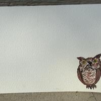 Idaho Great Horned Owl 2025 Watercolor Notecard