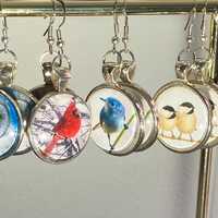 Bird earrings- pictures mounted under glass: owl, cardinal, chickadee and bluebird. 10g per earring 