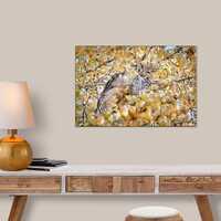 Horned Owl Photo, Hidden Owl, Home Decor, Nature Patterns, Hoot Owl, Bird Photo, Owl Art, Nature Pho