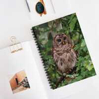 Owl Lover Notebook Barred Owl Journal Nature Lover Gift Wildlife Enthusiast Notebook Forest Woodland