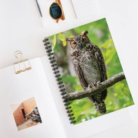 Owl Spiral Notebook Nature Inspired Journal Wildlife Lover Sketchbook Bird of Prey Lover Gift Nature