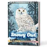 Snowy Owl Coloring Book for Adults – A5 Wooden Hardcover, 30 Winter Owl Pages, Wildlife Art, R