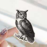 Vintage Owl Sticker Waterproof Owl Sticker Ornithology Sticker for Bird Watcher Gift Great Horned Ow