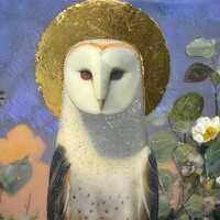 Barn Owl Saint Encaustic Painting: 23k Gold Leaf Bird Art, 3x5 Miniature