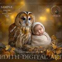 Newborn Face Insert, Fall Tree Branch With Owl and Baby Faceless Digital Backdrop Photography Compos
