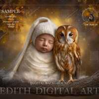 Newborn Face Insert, Autumn Tree Branch With Owl & Baby Faceless Digital Backdrop Photography Co