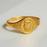 Gold Owl Ring, Owl signet ring, Pinky ring, 14K Wisdom Knowledge Jewelry, Animal Totem Signet Ring, 