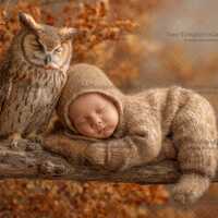 Fall Newborn Digital Backdrop with Owl – Baby Face Insert for Boy or Girl – Tree Branch 