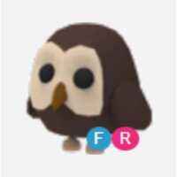 FR Owl - Adopt From Me