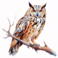 Watercolor Owl Clipart: 10 Printable Bird JPGs (Commercial Use, Instant Download)