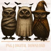 owl halloween png, owl halloween tshirts,owl halloween for t-shirt, owl halloween shirt, Owl Pumpkin