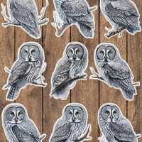 Great Gray Owl Vinyl Die Cut Sticker Set | Funny Sticker | Laptop Sticker | Water Bottle Sticker | N