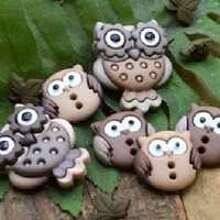 WOODLAND WISDOM OWL Buttons