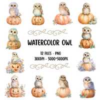 Watercolor Owl Pumpkin Clipart PNG, 12 Cute Fall Halloween Owls, Digital Download, Transparent, Stic