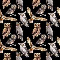 Parliament of Owls Fabric - Raptors - Night Creatures - Birds of Prey - Black Background - 100% Ligh