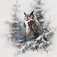 Watercolor Owl Wall Art Bundle Set of 14, Winter Forest Owl Illustrations, Wildlife Animal Prints, W