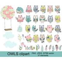 Cute owls clipart, owl Illustrations PNG JPEG Vector, kids scrapbooking digital download.