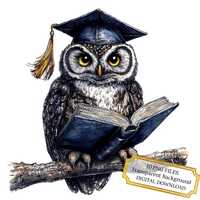 Graduation Owl PNG Clipart Bundle- Digital Download