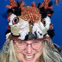 Great Horned Owl D--Size Average