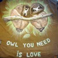 painted T Shirt, trousers, backpack Owls