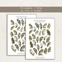Owl Printable Stickers: Journaling, Scrapbooking (A4, .studio File, .PNG)